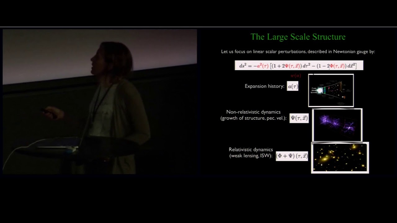 Alessandra Silvestri. Lighting up Einstein's dark Universe.
