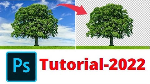 Background Remove of a Tree in Photoshop | Photoshop Tutorial-2022 | #photoshop_tutorial