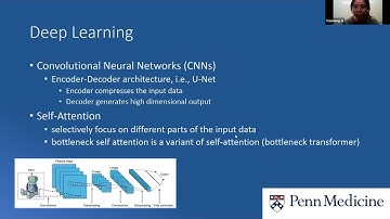 Learning Apparent Diffusion Coefficient Maps from Accelerated Radial k Space Diffusion Weighted MRI