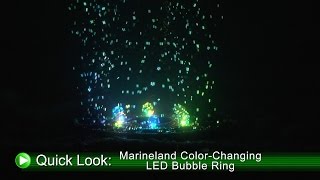Marineland Color-Changing LED Bubble Ring (DrsFosterSmith)