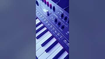 Improvisación con Arturia Minifreak