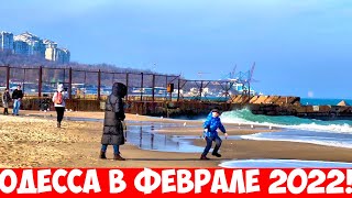 ОДЕССА 17 ФЕВРАЛЯ 2022❗️МОРЕ 💦❗️ПЛЯЖ СОБАЧИЙ 💦❗️ПАРК ПОБЕДЫ❗️