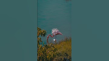 اكتب شيئاً تؤجر عليه 🌿🍁#القران_الكريم #القران #آيات #قران_كريم #quran #اكسبلور #قرآن #تلاوة_خاشعة