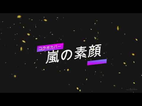 嵐の素顔