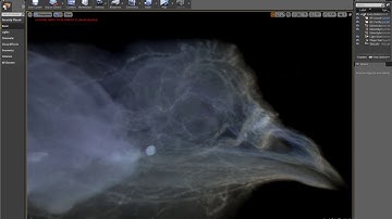 TurkeyHead CT scan from OSU volume rendered in UE4