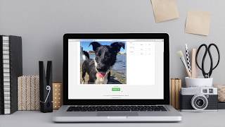 Online Bead Pattern Creator | PhotoPearls screenshot 5