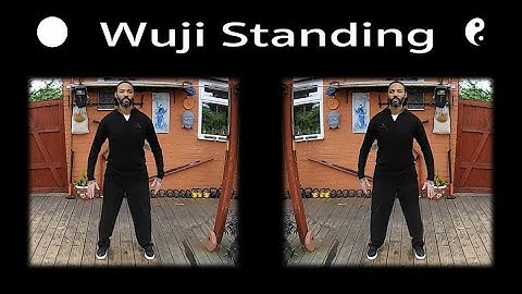 Wuji Standing Meditation