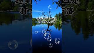 寡妇卖牛#民間故事 #民间故事