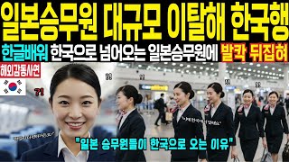 [해외감동사연] 한글 공부에 빠져 한자 버리는 일본 승무원들 막아라! 일본 승무원 5백명 한국행에 일본 전역 발칵 뒤집혀 충격