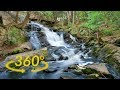 360° 4K VR - Virtual Forest: crickets and water sounds - Ambisonic