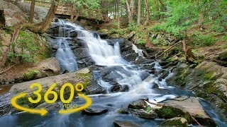 360° 4K VR - Virtual Forest: crickets and water sounds - Ambisonic screenshot 3