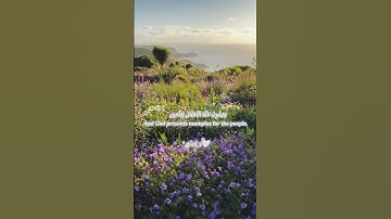 مقطع من سورة النور 🤍 الآية [35]#سورة_النور #القرآن_الكريم #راحة_نفسية