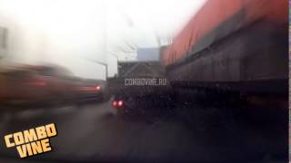 Combo Vine 978
