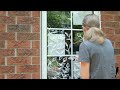 Prevent Bird Window Strikes with Washable Tempera Paint