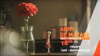 Aripi De Mătase - Ora 18.00, Tvr2 Reluare 9.30