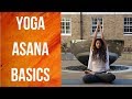How to do yoga asanas  yoga teacher training  anvita dixit