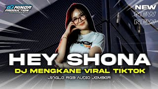 DJ INDIA HEY SHONA VIRAL TIKTOK || TERBARU 2025‼️JINGLE RGB AUDIO JEMBER FEAT DJ MINOR PRODUCTION