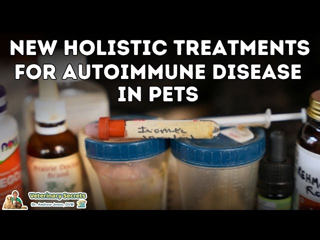 The De-wormer Ivermectin for Autoimmune Disease in Dogs and Cats?