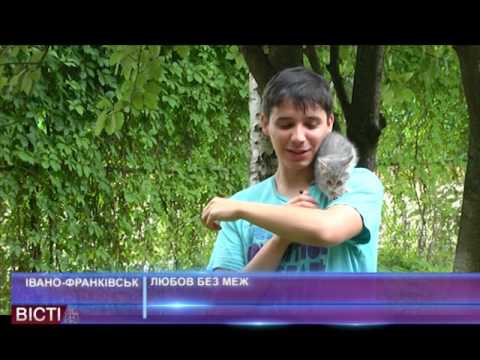 Любов без меж