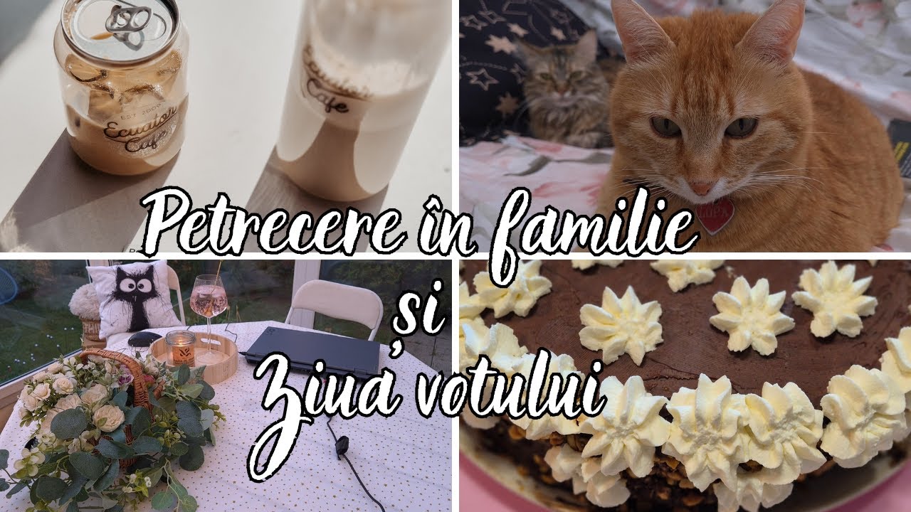 Un weekend plin: Munca la Darshop| Petrecere în familie| Ziua Votului