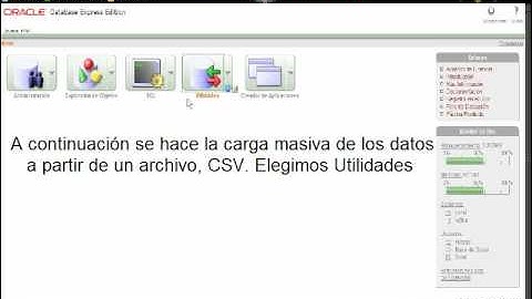 Carga masiva de datos en Oracle 10g, por medio de CSV.