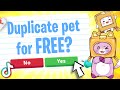 Can FOXY & BOXY Get These ADOPT ME TIKTOK HACKS TO WORK?! (DUPLICATE PETS?!)