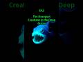 EP.3 The Strangest Creatures in the Deep Ocean TTT (Talk Tip Took)• Life Tips in 60s #ocean #nature