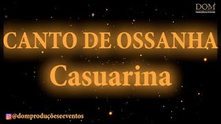 Samba-Okê - Casuarina - Canto de Ossanha - Karaokê