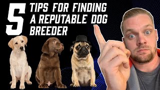 Finding A Responsible Dog Breeder: What To Look For In A Reputable Breeder When Adopting A Puppy