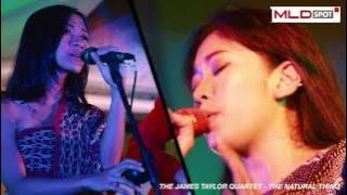 Stage Bus Jazz Tour Aftermovie | MLDSPOT 2016