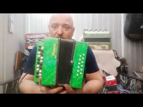 Гармонь Нотка! А стоит ли? Игрушка или инструмент!? 😲🤔