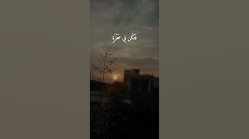 يأت بها الله إن الله لطيف خبير | سورة لقمان #اسلام_صبحي #islam #quran #القرآن_الكريم