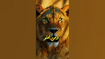 أنا كما أنا لا ندم على فراق ولا تمسك بمن لا يريد البقاء كرامة راحة البال لا للندم حياة جديدة 