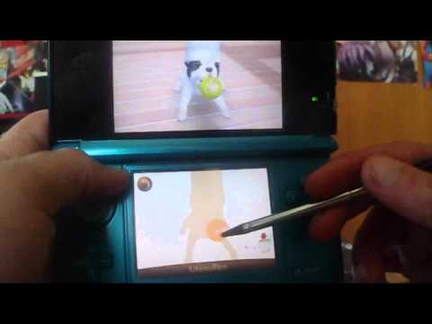 Let´s Play Nintendogs