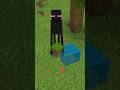 Why Endermen Fear Water #minecraft #shorts