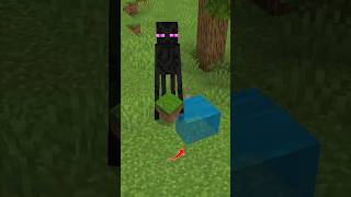 Why Endermen Fear Water #minecraft #shorts