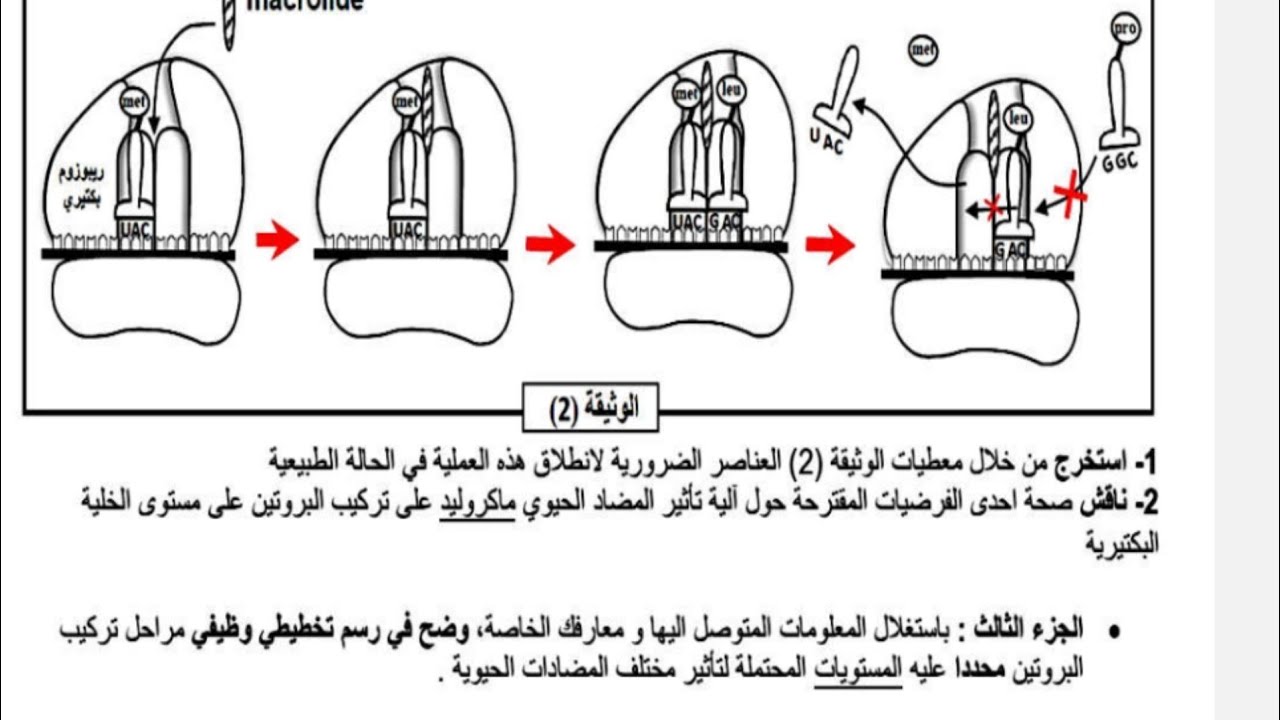 تمرين المسعى العلمي الماكروليد الجزء الثاني