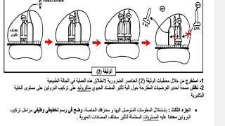 تمرين المسعى العلمي الماكروليد الجزء الثاني