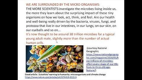 Paleontology :  Microfossils