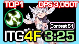 [NSTG S1 TOP1] Silver Hunter NSTG DLB 4F 3:25 Rotation / DPS 3,050 Trillion / Dragon Nest CN