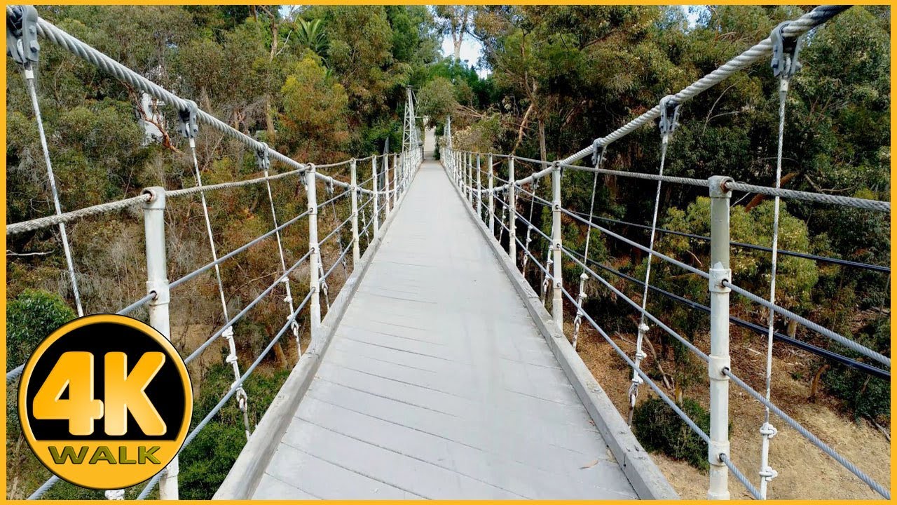 Spruce Street Suspension Bridge, San Diego [4K] YouTube