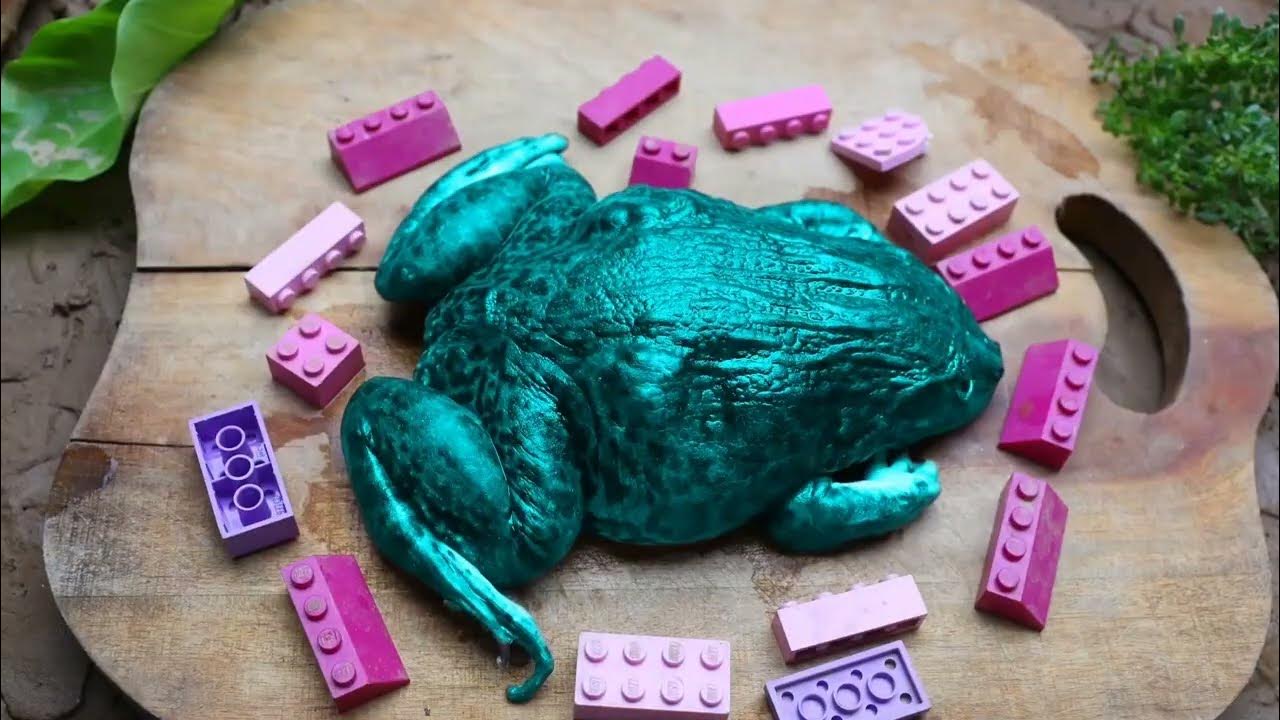 Stop Motion Cooking Skeleton Colorful Koi Fish Cute Turtle Python Egg ...
