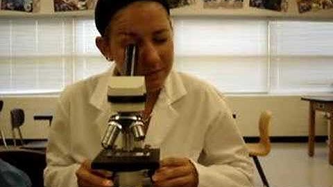 How to Correctly Use a Microscope