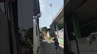 Dapet layang Sukhoi putus di atas genteng , masih bagus 🪁😱 #shorts