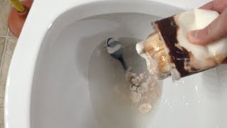 Threw My Mcdonalds Sundae In The Toilet..will It Flush?
