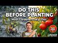 Never Plant Tomatoes Without this to Get large & More fruits