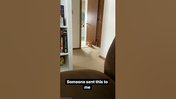 Thumbnail of Hati² Jumpscare #shorts #kucing #cat