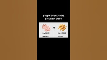 The True Definition of Macro Tracking 💀#whatislove