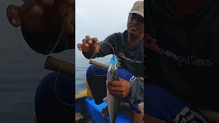 Tradisional Fishing‼️ Tonda/Trolling Cara Mudah Mancing Tengiri screenshot 1