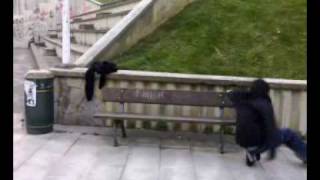 Maikel Y Lander